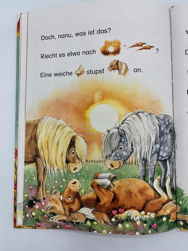 Bild: 9783401719115 | Pepe, das kleine Zauberpony | Stefanie Dahle | Buch | 56 S. | Deutsch