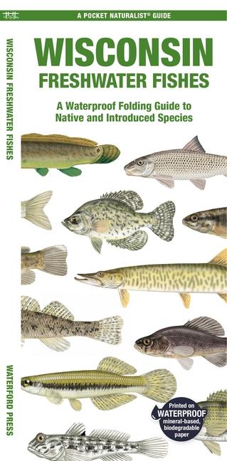 Cover: 9781620056578 | Wisconsin Freshwater Fishes: A Waterproof Folding Guide to Native...