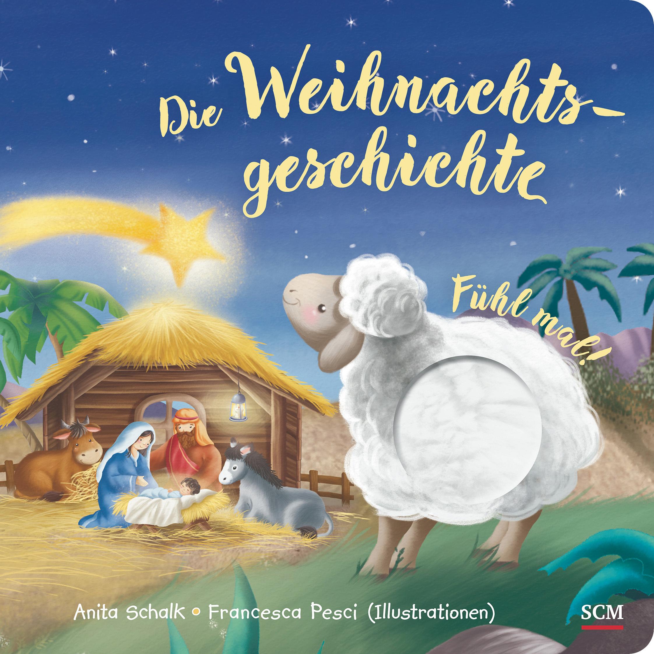 Cover: 9783417288896 | Die Weihnachtsgeschichte | Anita Schalk | Buch | 10 S. | Deutsch