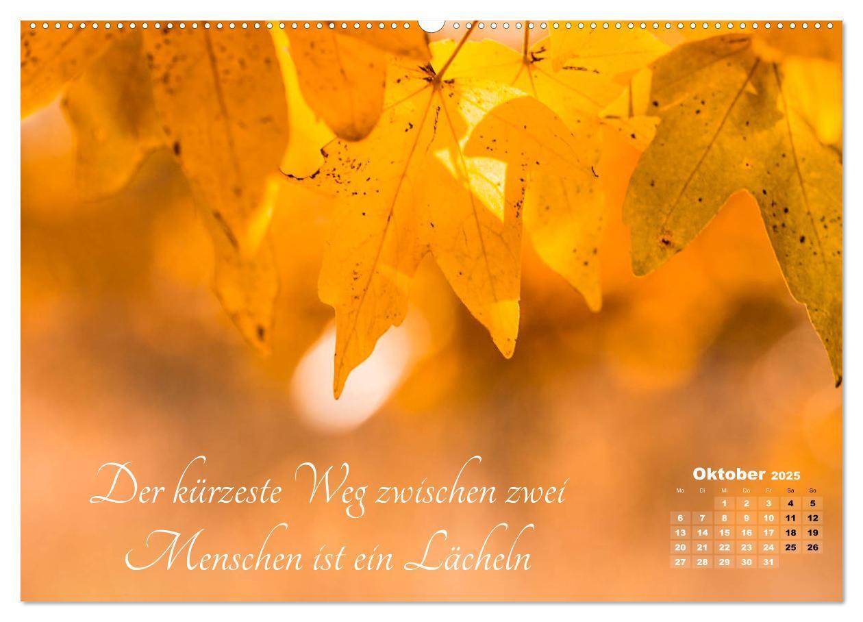 Bild: 9783435244874 | Chinesische Weisheiten (hochwertiger Premium Wandkalender 2025 DIN...