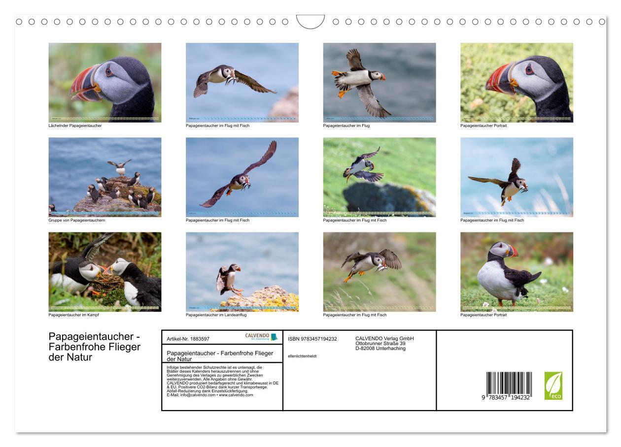 Bild: 9783457194232 | Papageientaucher - Farbenfrohe Flieger der Natur (Wandkalender 2025...