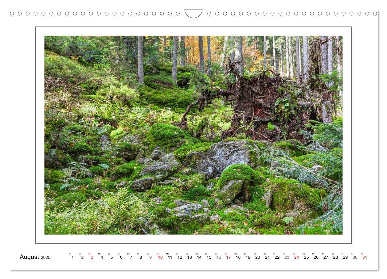 Bild: 9783435462179 | Unterwegs im Bayerischen Wald (Wandkalender 2025 DIN A3 quer),...