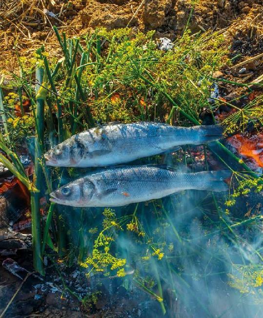 Bild: 9783966641760 | Koch draußen! Über 100 Rezepte für jedes Wetter | Ray Mears | Buch