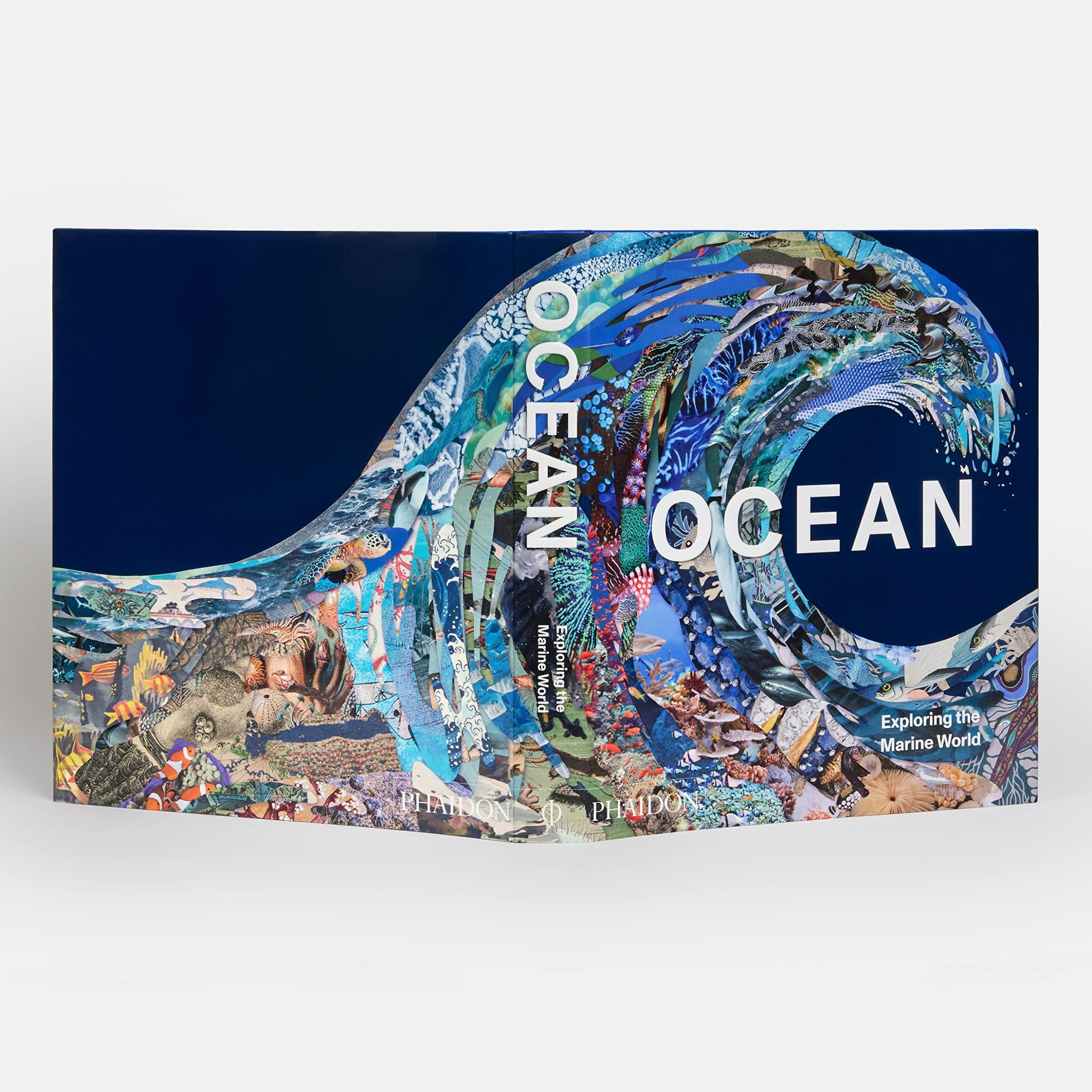 Bild: 9781838664787 | Ocean | Exploring the Marine World | Editors Phaidon (u. a.) | Buch