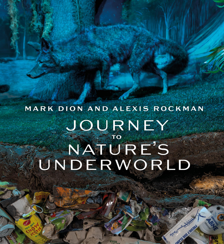 Cover: 9783777441535 | Mark Dion and Alexis Rockman | Journey to Nature's Underworld | Buch