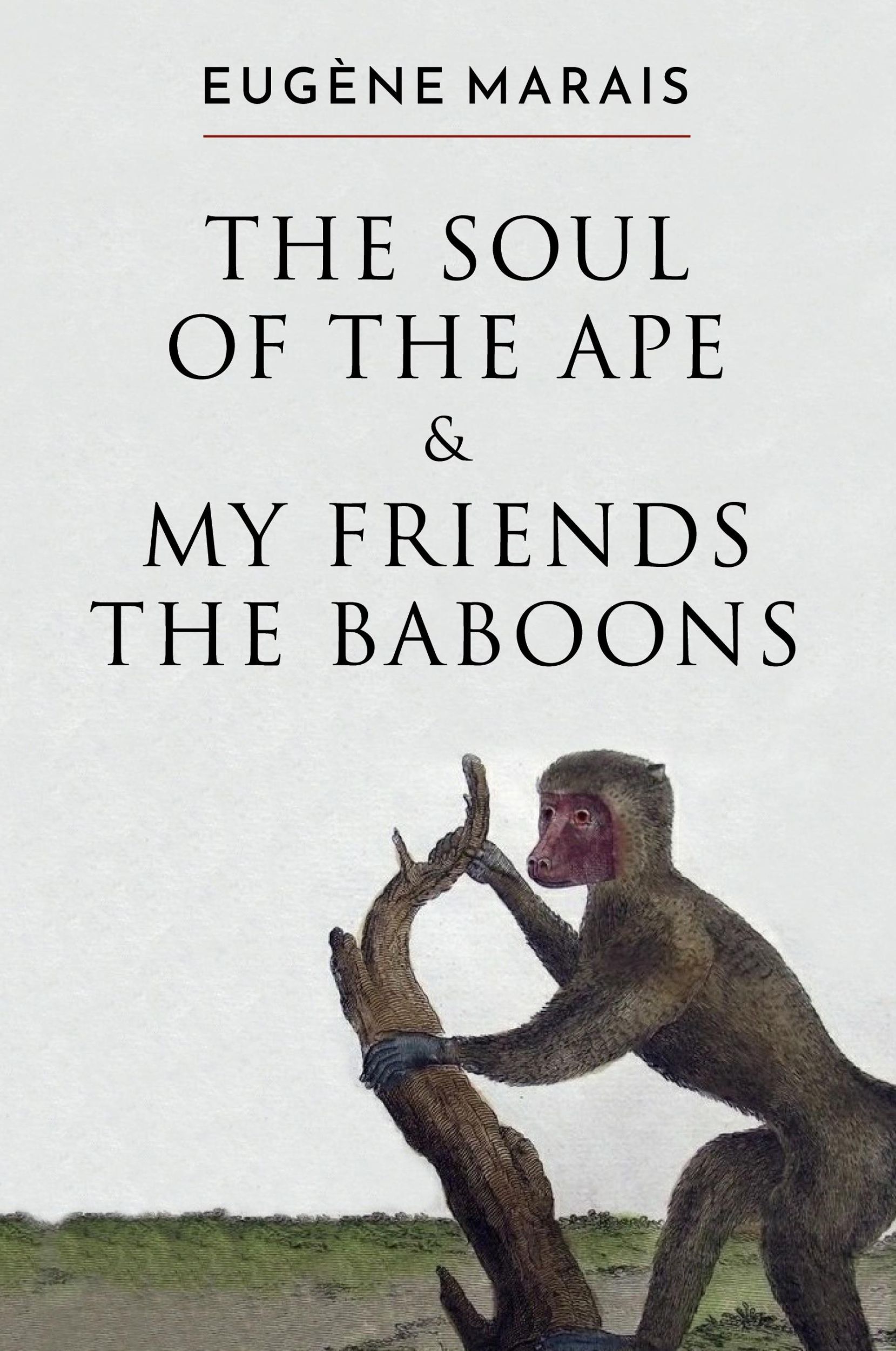 Cover: 9780980770674 | The Soul of the Ape &amp; My Friends the Baboons | Eugene Marais | Buch