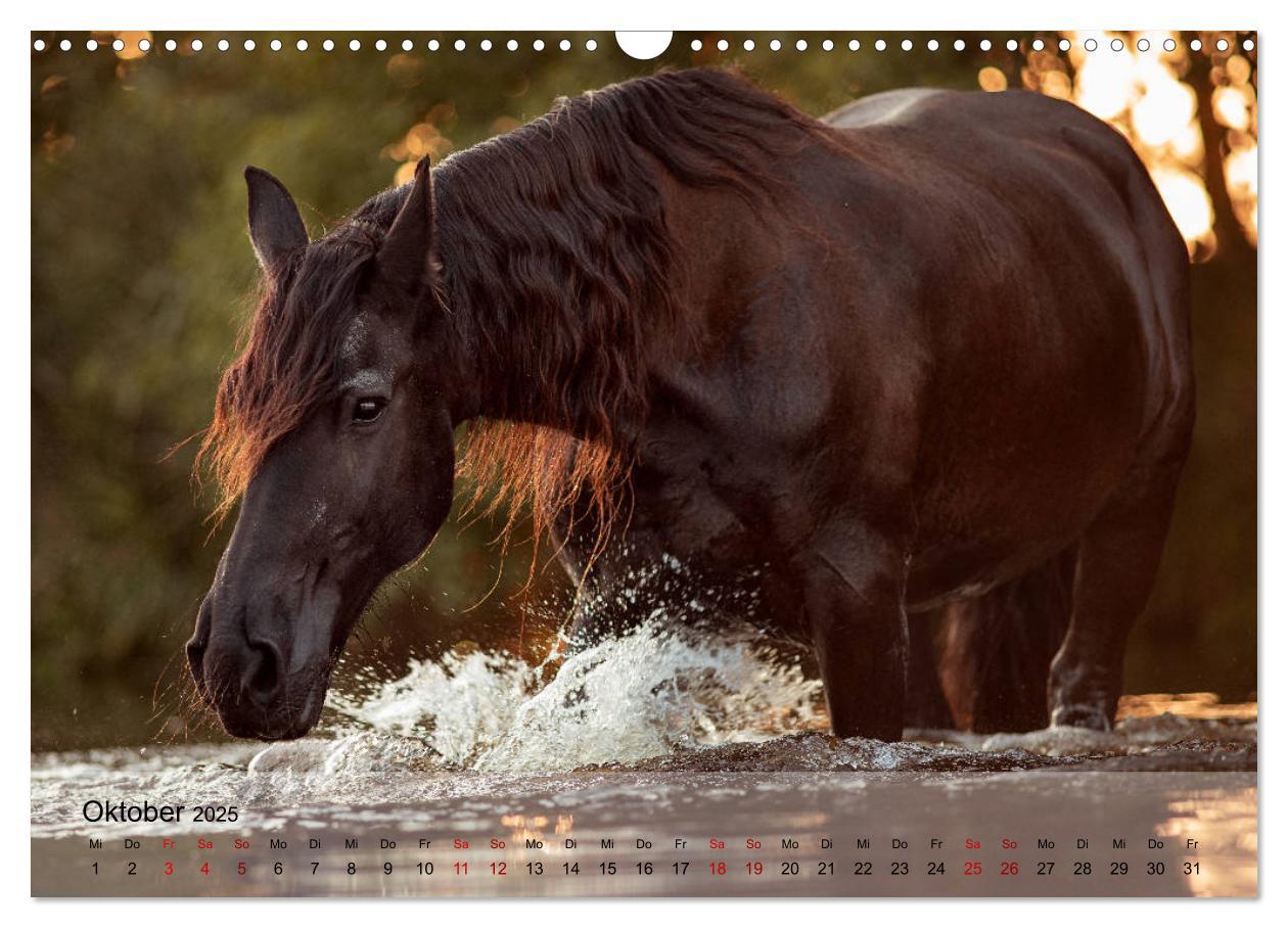 Bild: 9783435289325 | Pferdezauber 2025 (Wandkalender 2025 DIN A3 quer), CALVENDO...