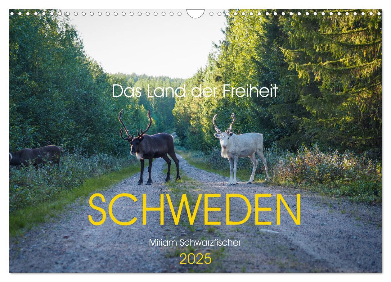 Cover: 9783383927836 | Das Land der Freiheit Schweden (Wandkalender 2025 DIN A3 quer),...