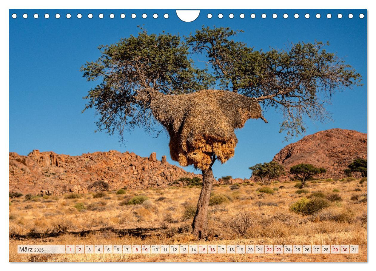 Bild: 9783383841705 | Abenteuerliches Namibia (Wandkalender 2025 DIN A4 quer), CALVENDO...