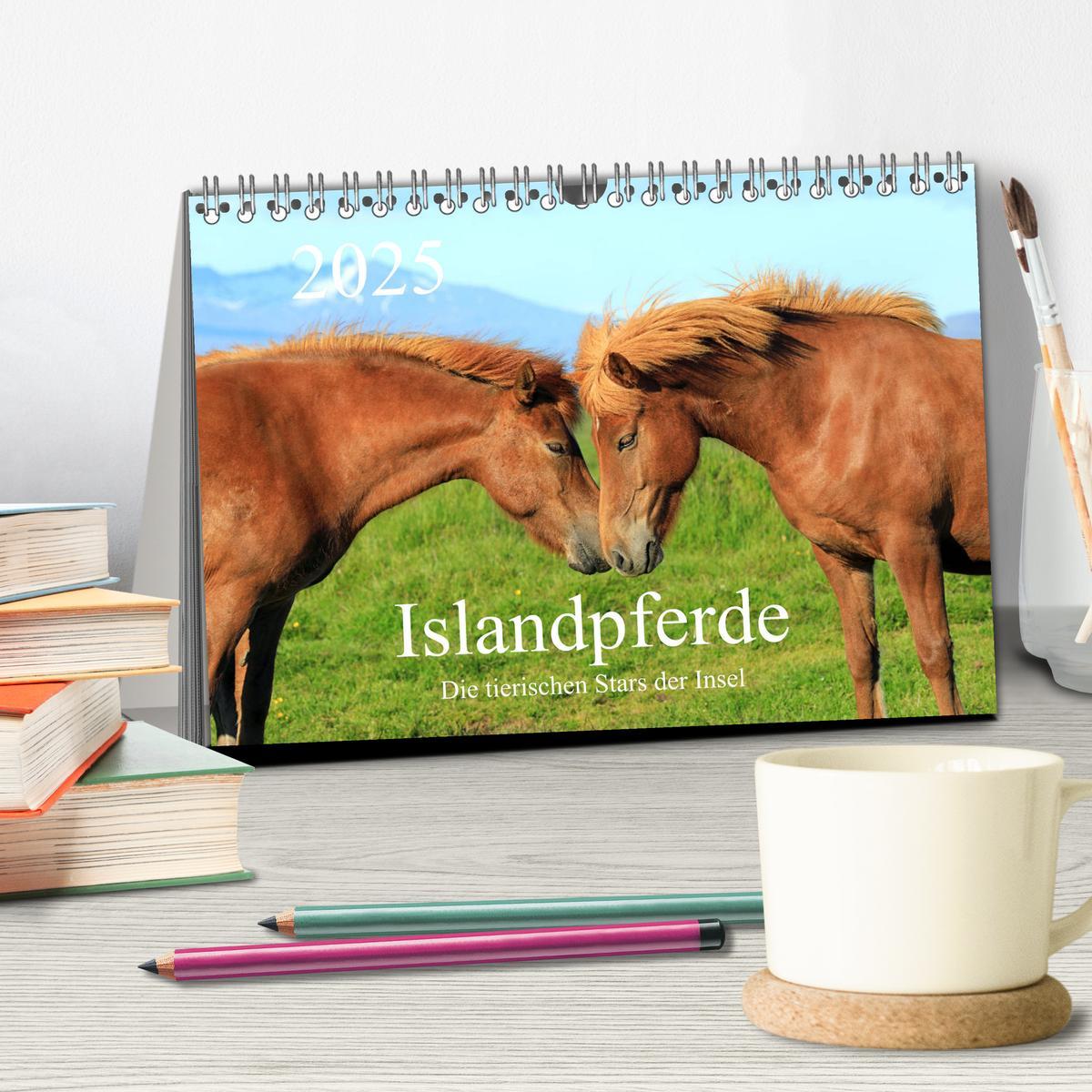 Bild: 9783435252435 | Islandpferde - Die tierischen Stars der Insel (Tischkalender 2025...