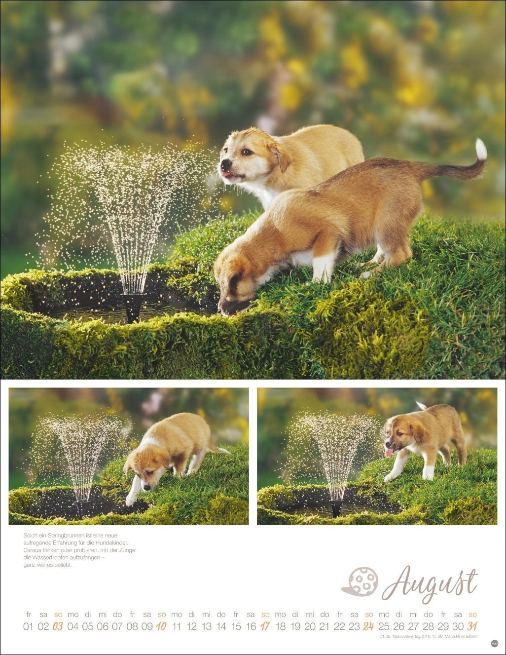 Bild: 9783756405329 | Hundekinder Posterkalender 2025 | Kalender | Spiralbindung | 14 S.