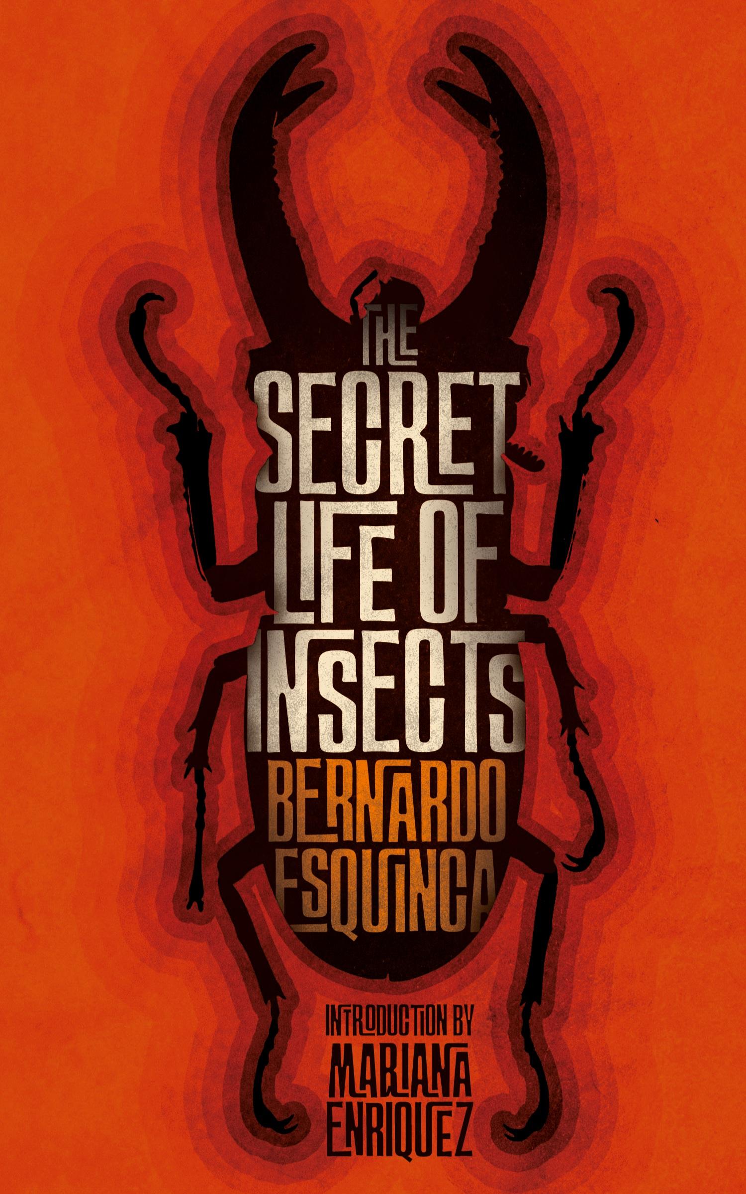 Cover: 9781954321953 | The Secret Life of Insects and Other Stories | Bernardo Esquinca