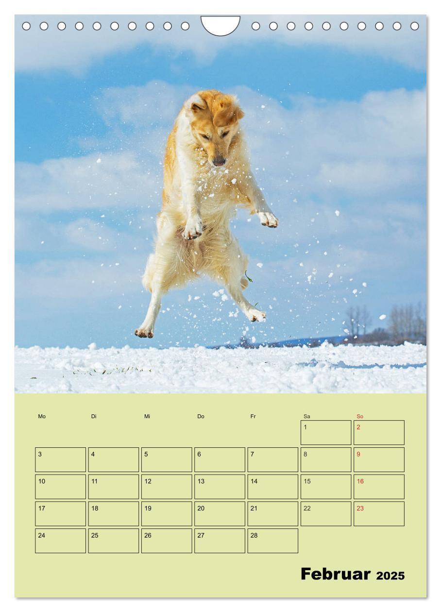 Bild: 9783435960316 | Jahresplaner Golden Retriever (Wandkalender 2025 DIN A4 hoch),...