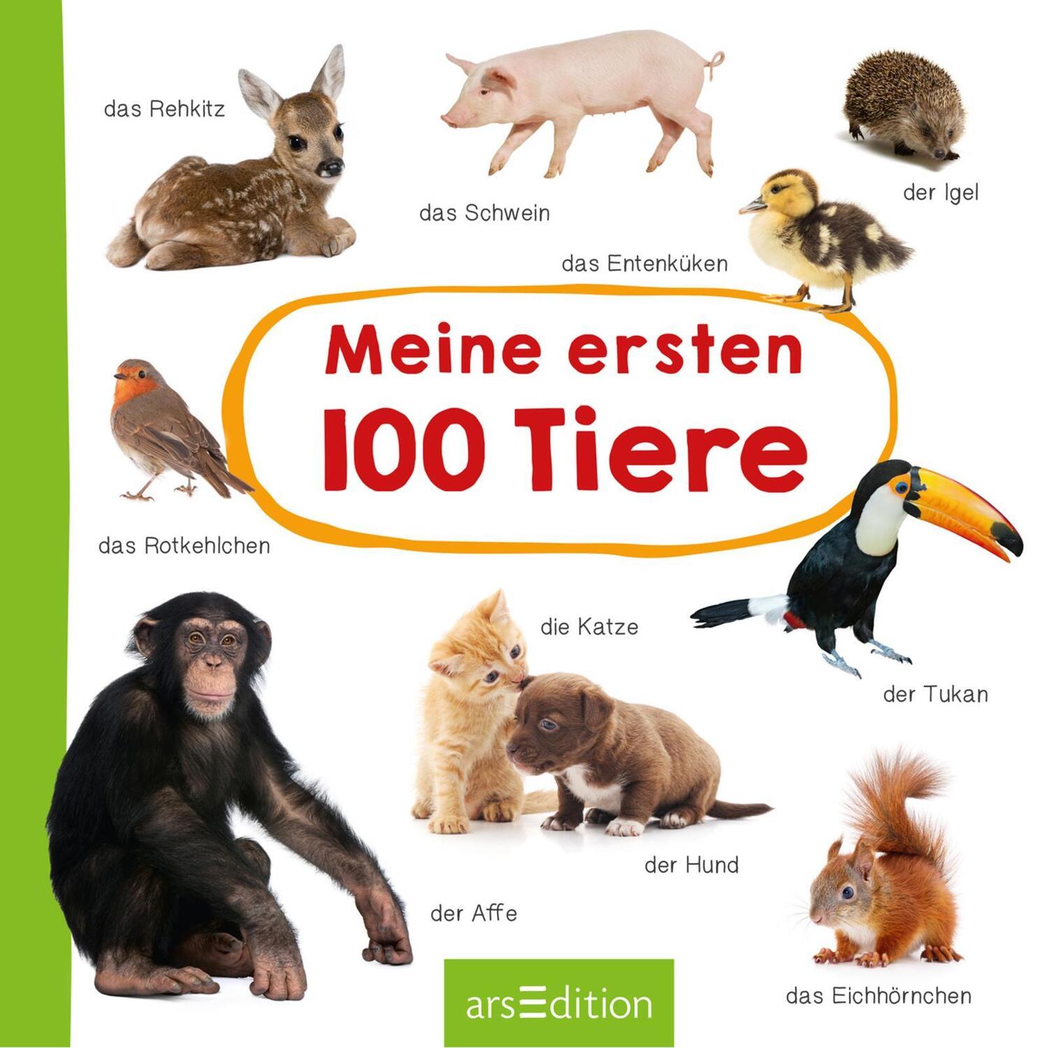 Bild: 9783845827414 | Meine ersten 100 Tiere | Foto-Wörterbuch | Buch | Pappebuch | 40 S.