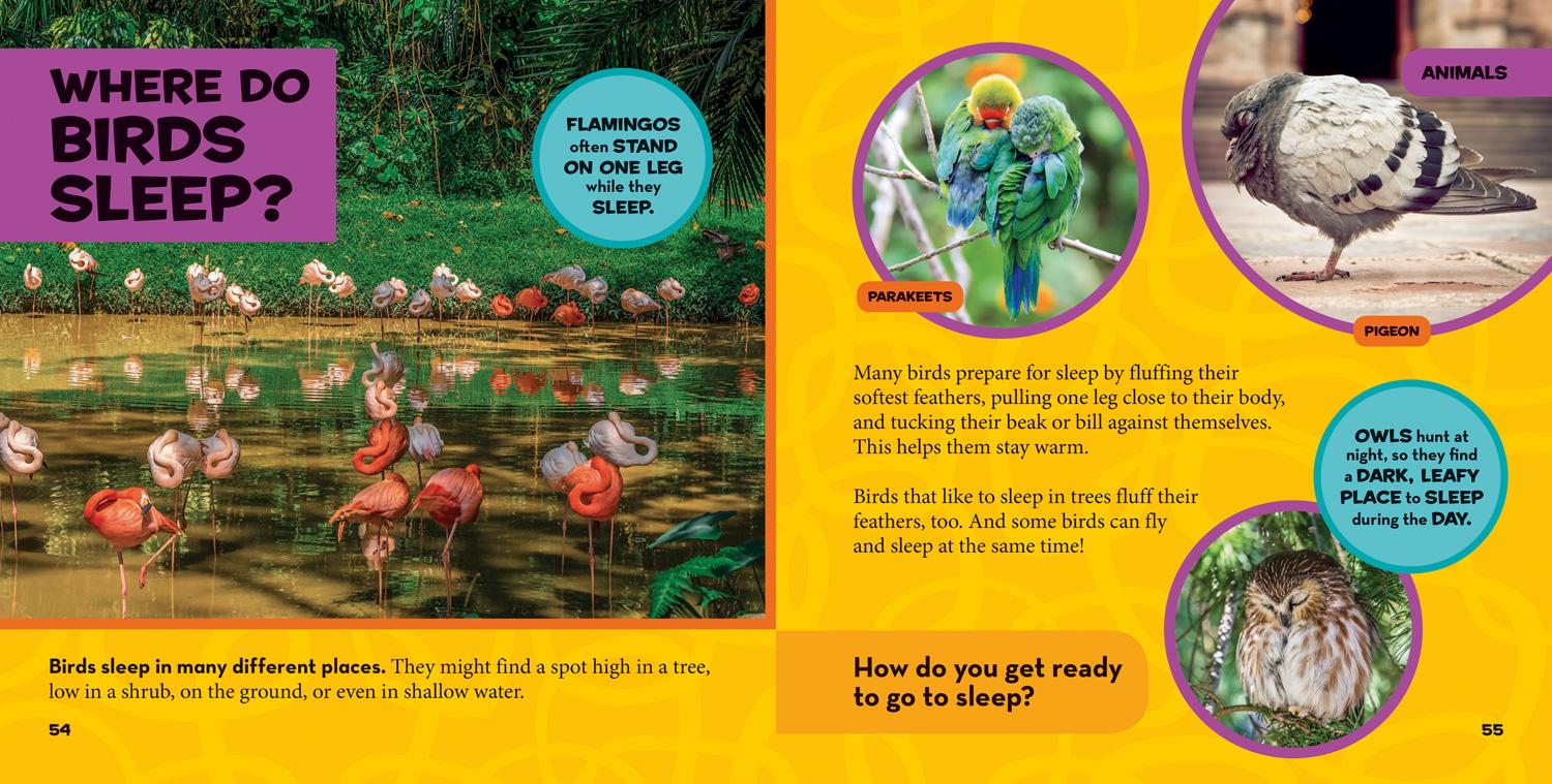 Bild: 9781426336935 | Little Kids First Big Book of Where | National Geographic Kids | Buch