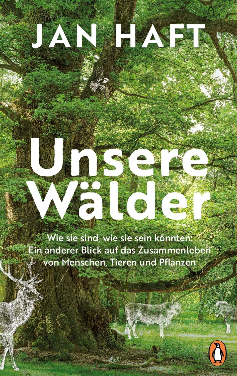 Cover: 9783328603634 | Unsere Wälder | Jan Haft | Buch | 256 S. | Deutsch | 2024