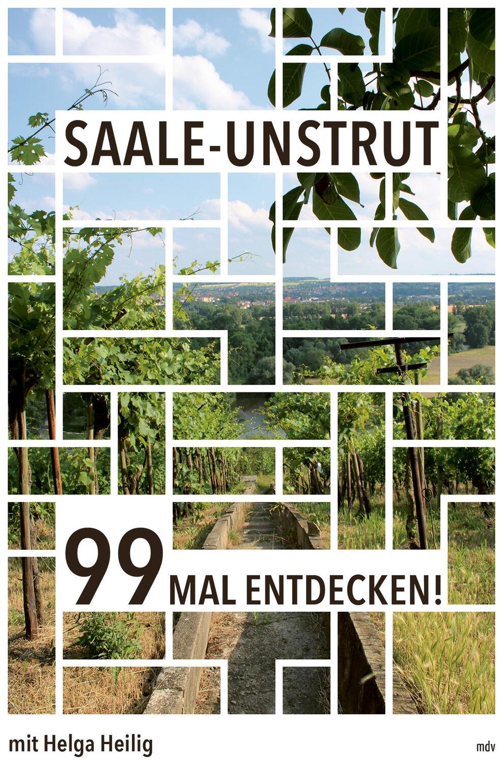 Cover: 9783963112546 | Saale-Unstrut | 99 mal entdecken | Helga Heilig | Taschenbuch | 160 S.