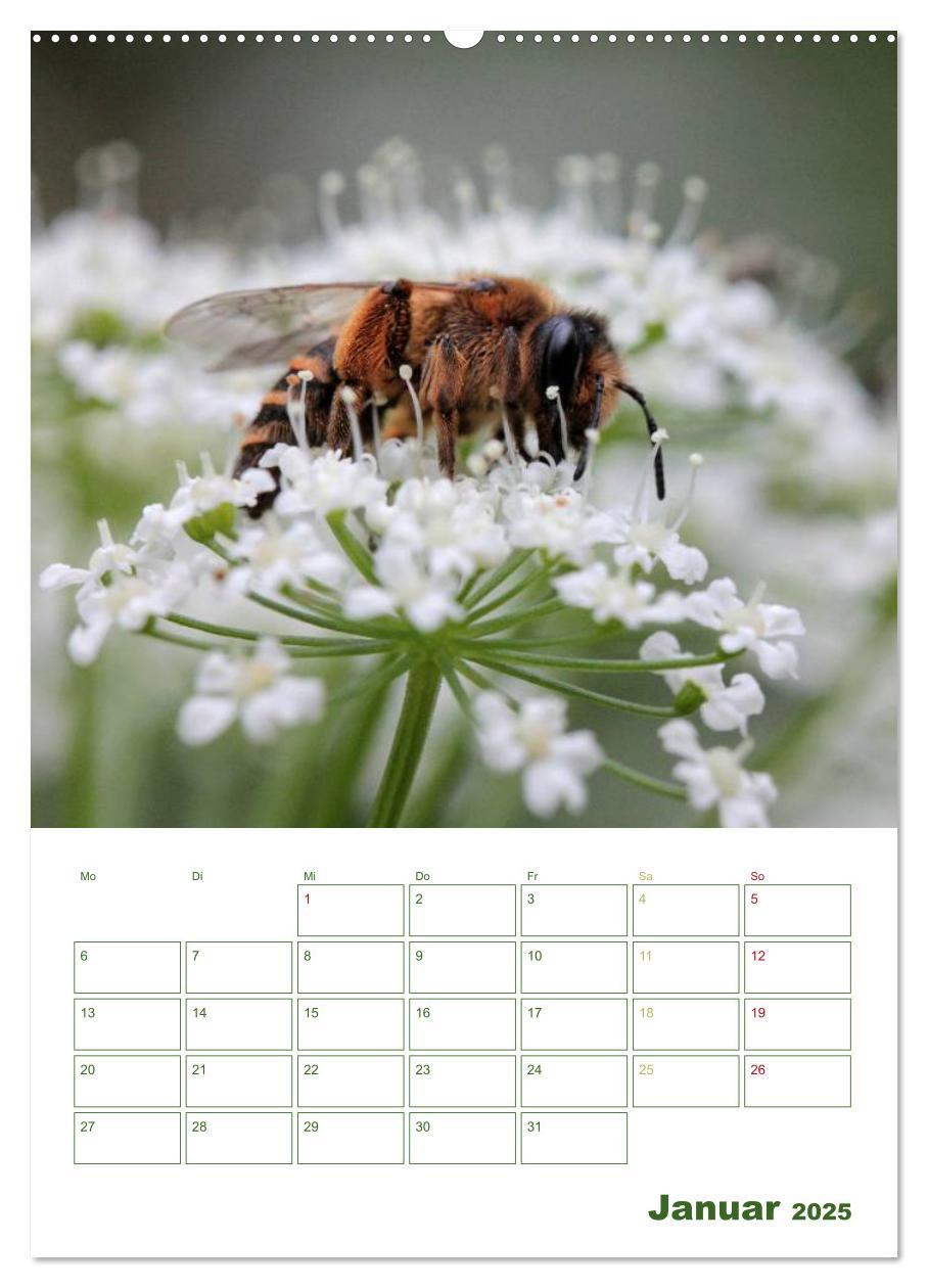 Bild: 9783457030011 | Bienen-Terminplaner 2025 (Wandkalender 2025 DIN A2 hoch), CALVENDO...