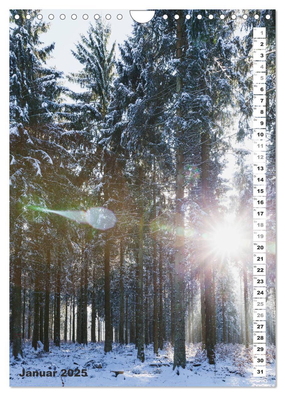 Bild: 9783435945481 | EIFEL - Kraftorte Wald und Wasser (Wandkalender 2025 DIN A4 hoch),...