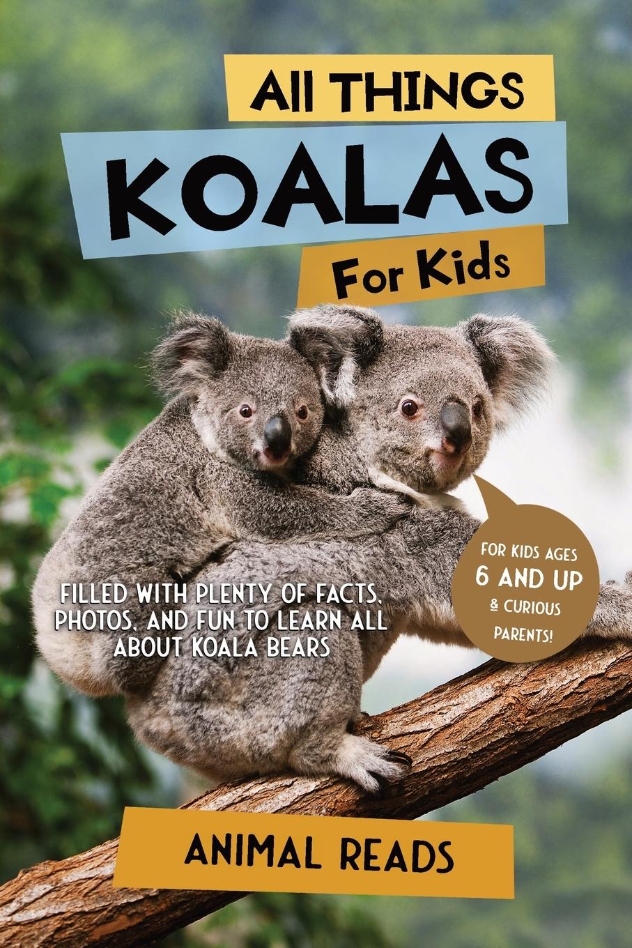 Cover: 9783967721409 | All Things Koalas For Kids | Animal Reads | Taschenbuch | Englisch