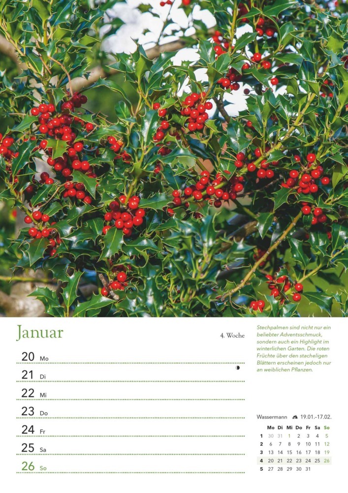 Bild: 4250809653501 | DUMONT - Ein Jahr in meinem Garten 2025 Wochenkalender, 21x29,7cm,...