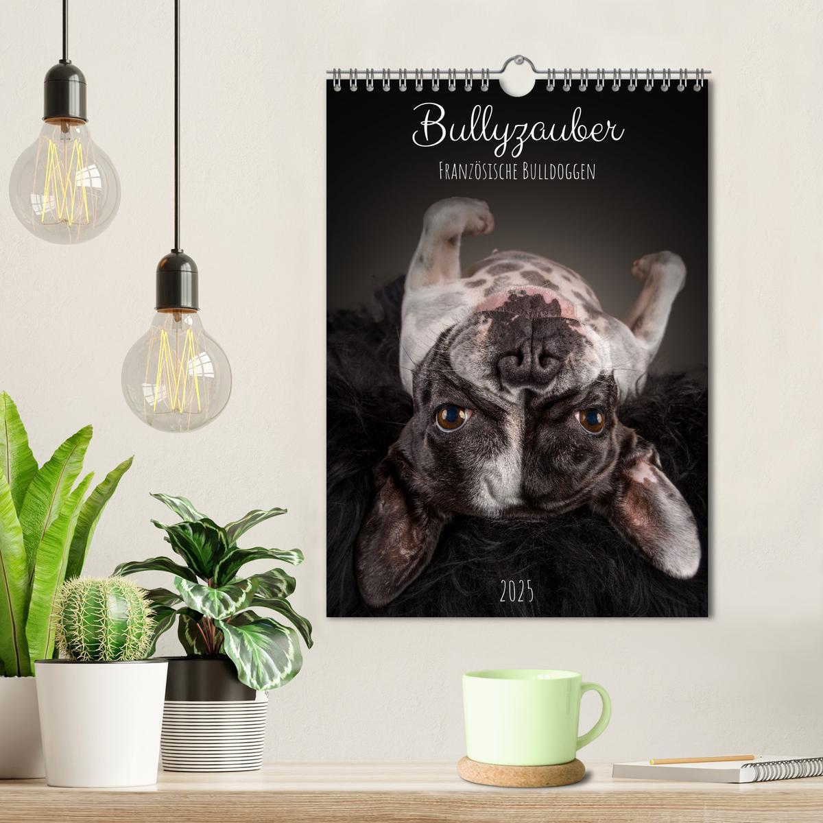 Bild: 9783435917587 | Bullyzauber - Französische Bulldoggen (Wandkalender 2025 DIN A4...