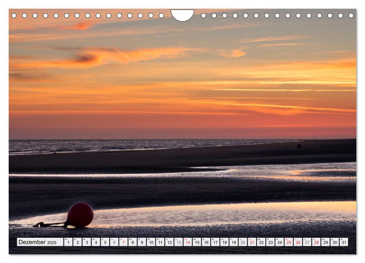 Bild: 9783435618842 | Amrum. Natur und Landschaften (Wandkalender 2025 DIN A4 quer),...