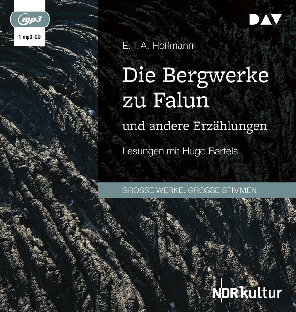 Cover: 9783742423931 | Die Bergwerke zu Falun und andere Erzählungen, 1 Audio-CD, 1 MP3 | CD