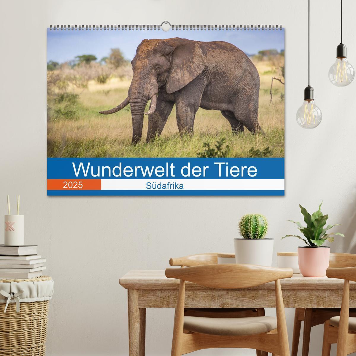 Bild: 9783435150915 | Wunderwelt der Tiere - Südafrika (Wandkalender 2025 DIN A2 quer),...