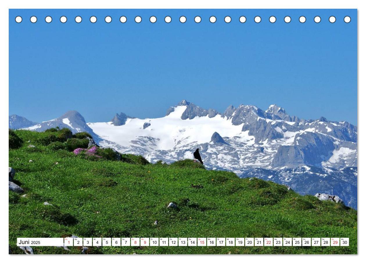 Bild: 9783435493036 | Die Alpen im Herzen von Österreich (Tischkalender 2025 DIN A5...