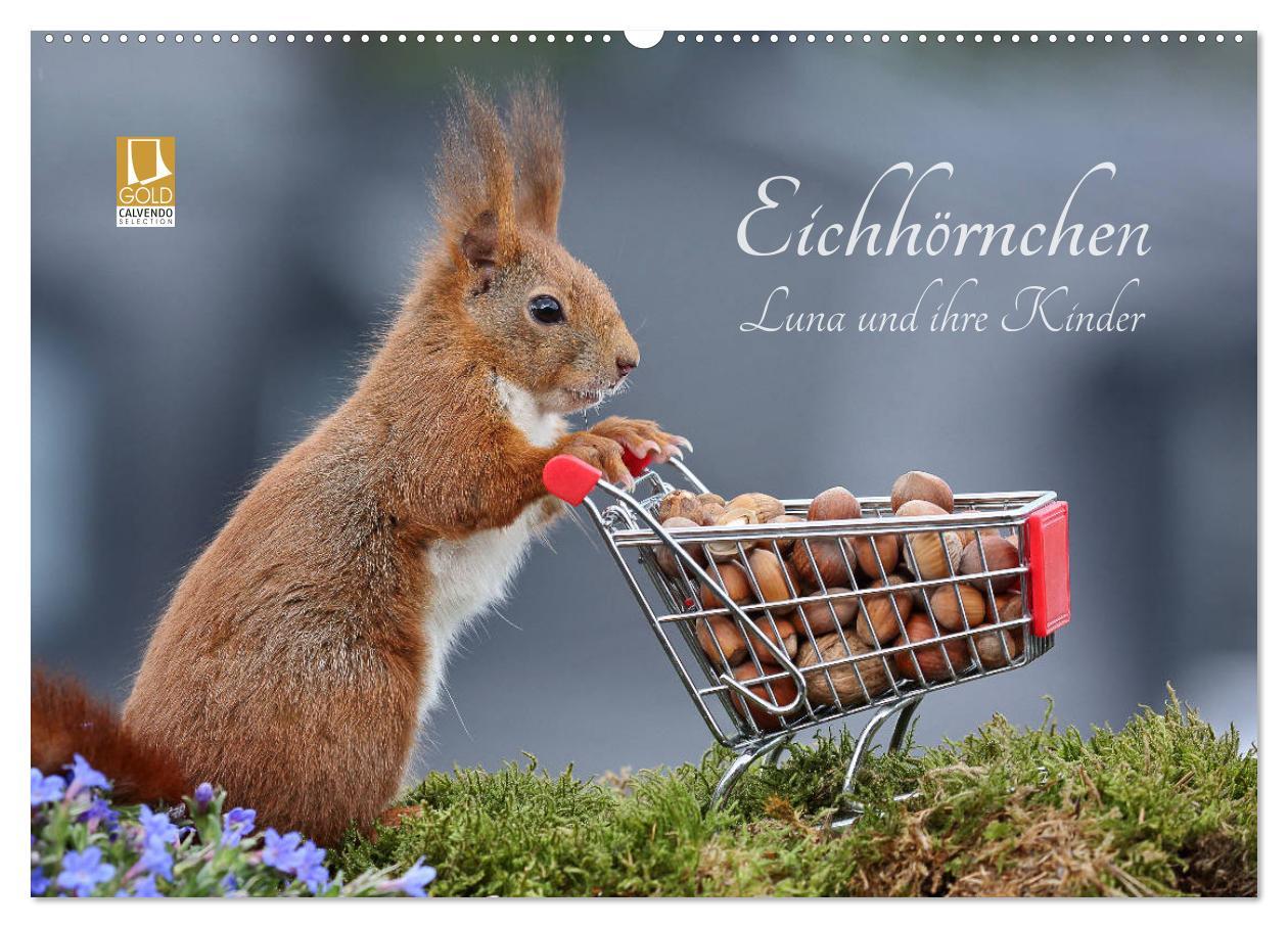 Cover: 9783435344963 | Eichhörnchen Luna und ihre Kinder (Wandkalender 2025 DIN A2 quer),...