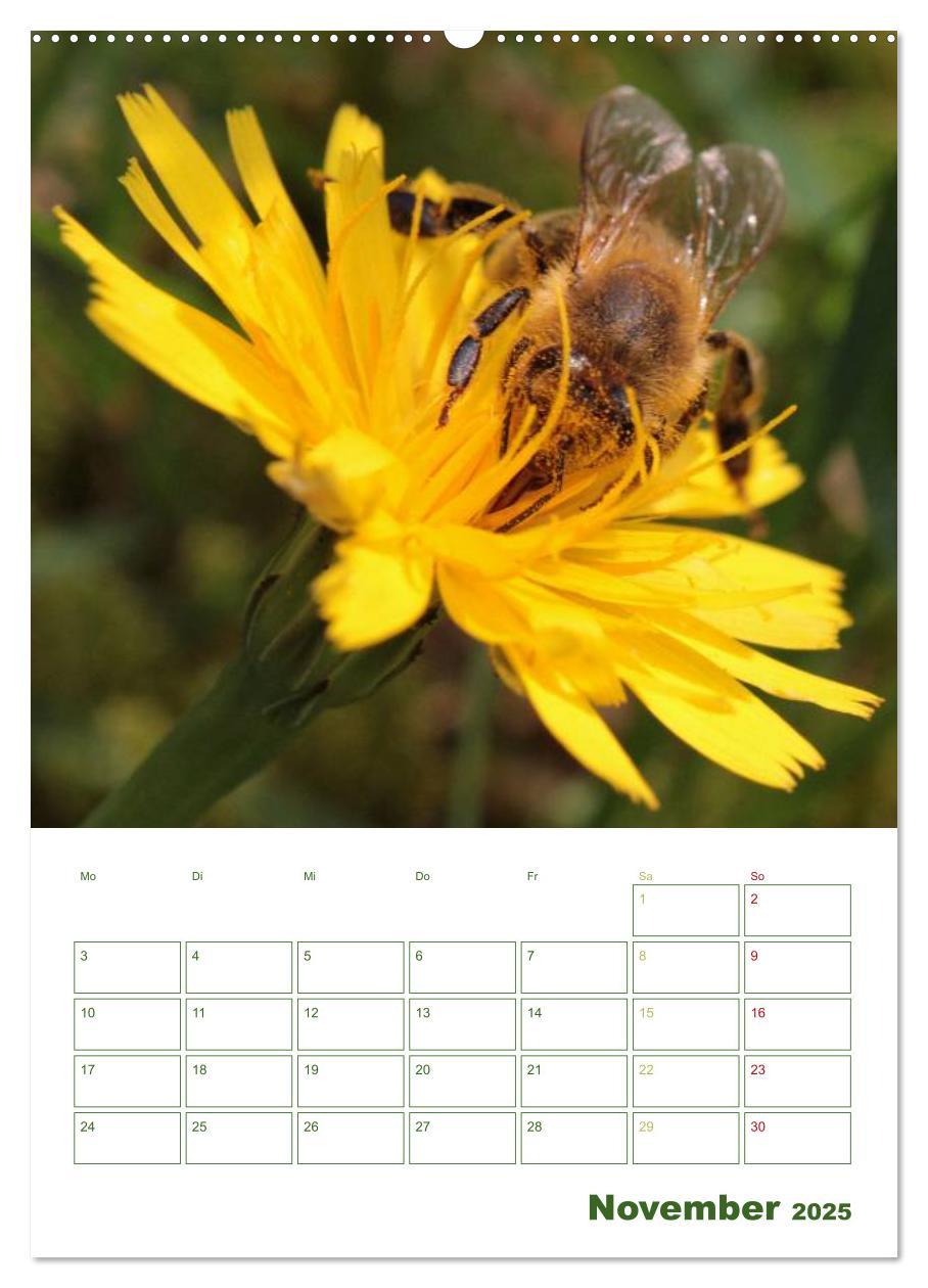 Bild: 9783457030011 | Bienen-Terminplaner 2025 (Wandkalender 2025 DIN A2 hoch), CALVENDO...