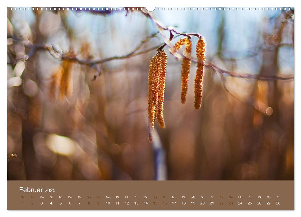 Bild: 9783435428199 | Farbwechsel - Die Farben der vier Jahreszeiten (Wandkalender 2025...