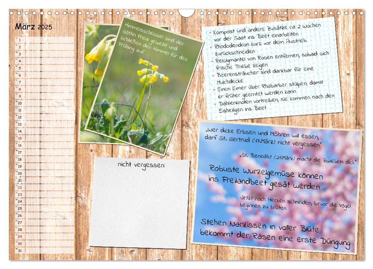 Bild: 9783435132522 | Was ist noch im Garten zu tun? (Wandkalender 2025 DIN A3 quer),...