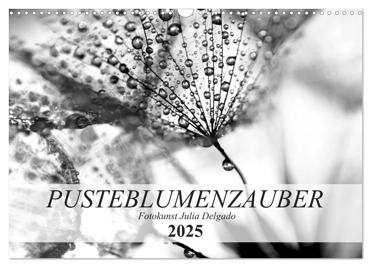 Cover: 9783435265985 | Pusteblumenzauber in schwarzweiß (Wandkalender 2025 DIN A3 quer),...