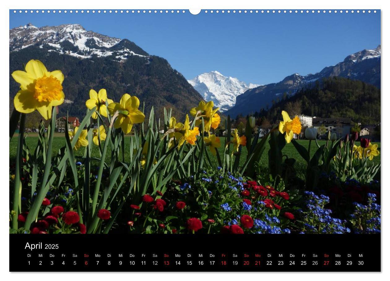 Bild: 9783435770267 | Berner Oberland (Wandkalender 2025 DIN A2 quer), CALVENDO...