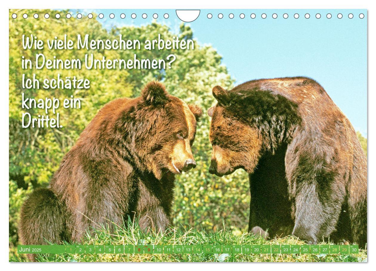 Bild: 9783383853494 | Spaß mit Bären: Edition lustige Tiere (Wandkalender 2025 DIN A4...