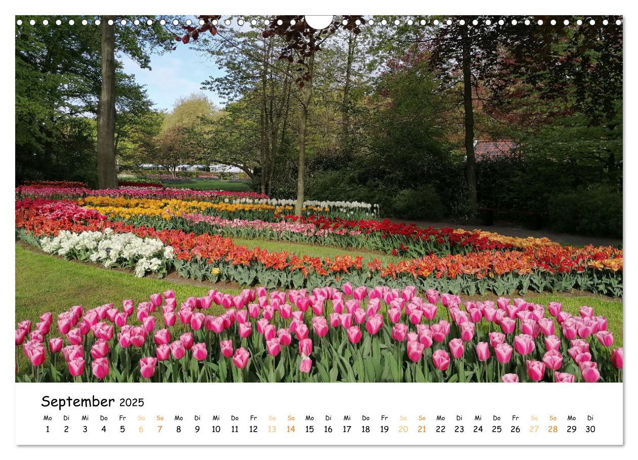 Bild: 9783383924354 | Auf Tour im Land der Tulpen (Wandkalender 2025 DIN A3 quer),...