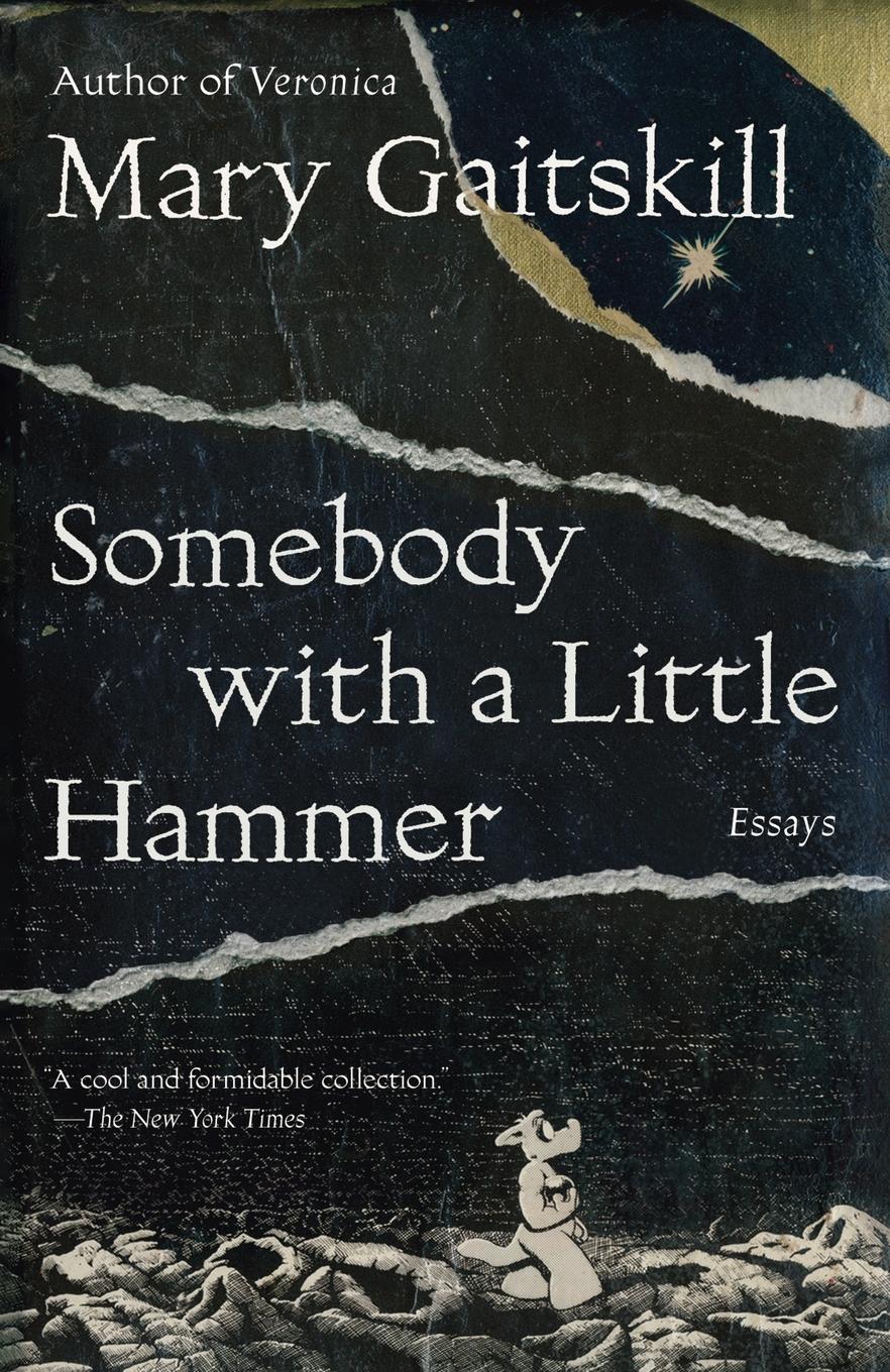 Cover: 9780307472335 | Somebody with a Little Hammer | Essays | Mary Gaitskill | Taschenbuch