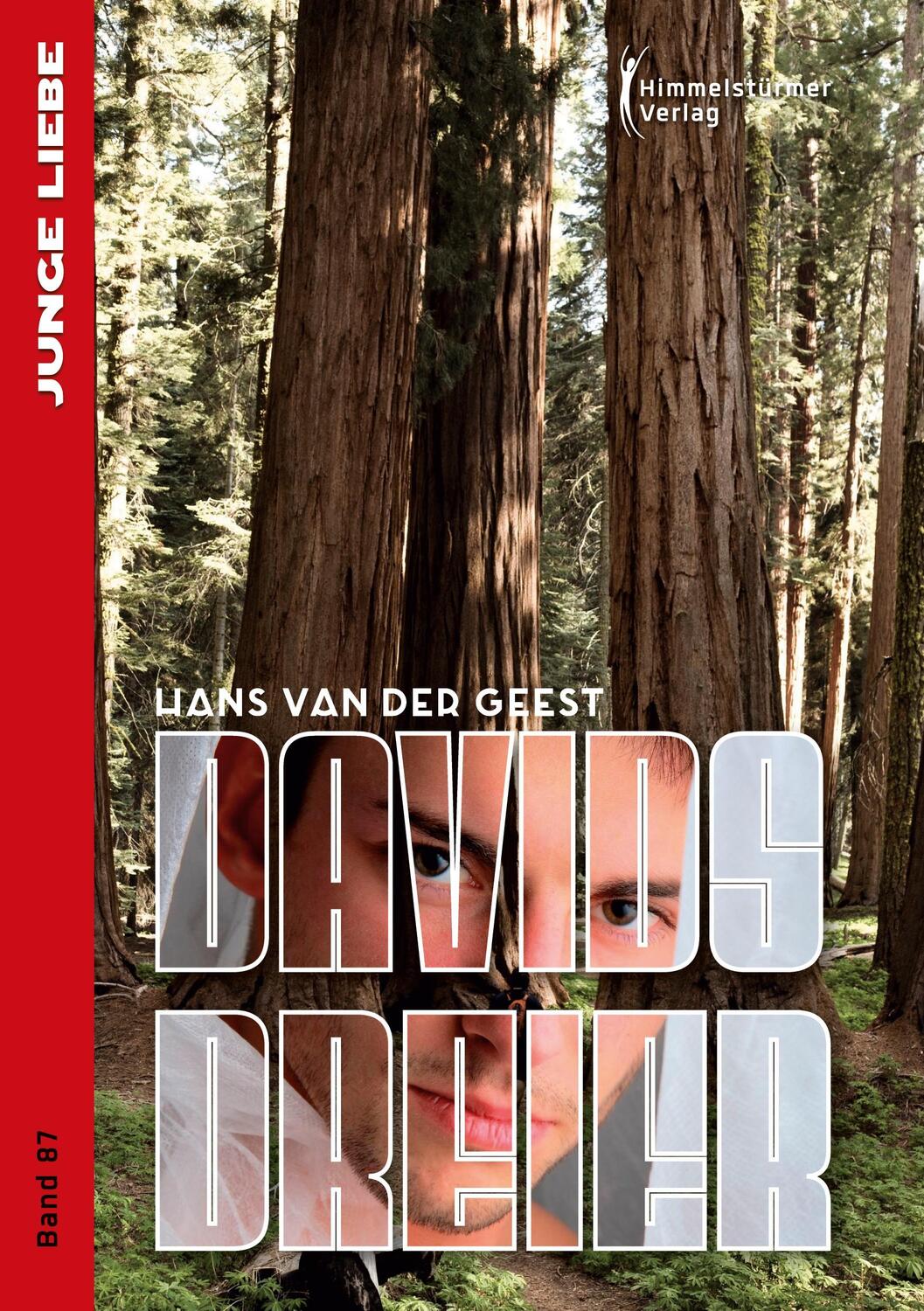 Cover: 9783863617264 | Davids Dreier | Hans van der Geest | Taschenbuch | Junge Liebe | 2018