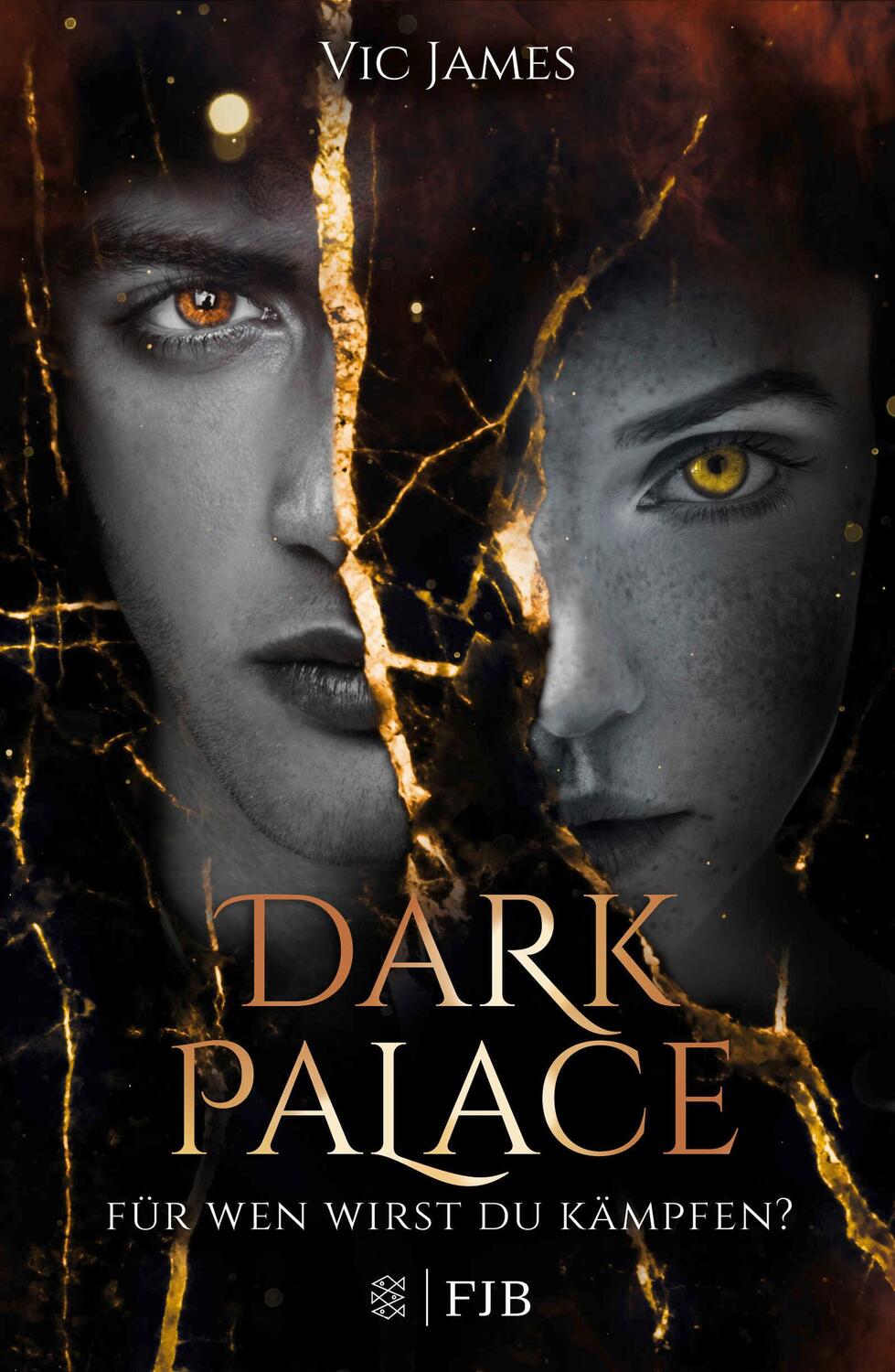 Cover: 9783841440129 | Dark Palace - Für wen wirst du kämpfen? | Vic James | Buch | 496 S.