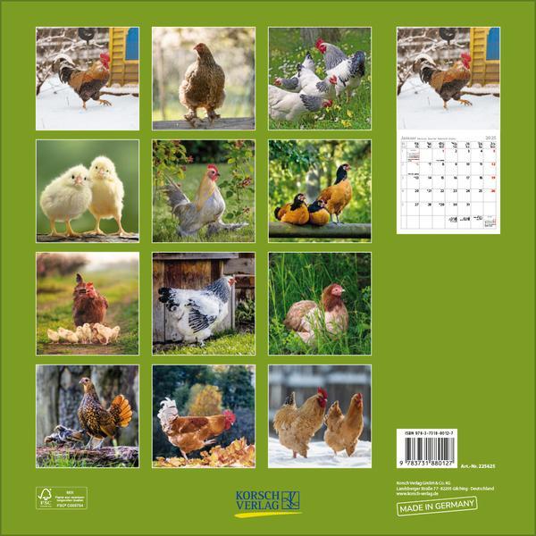 Bild: 9783731880127 | Hühner 2025 | Verlag Korsch | Kalender | 13 S. | Deutsch | 2025