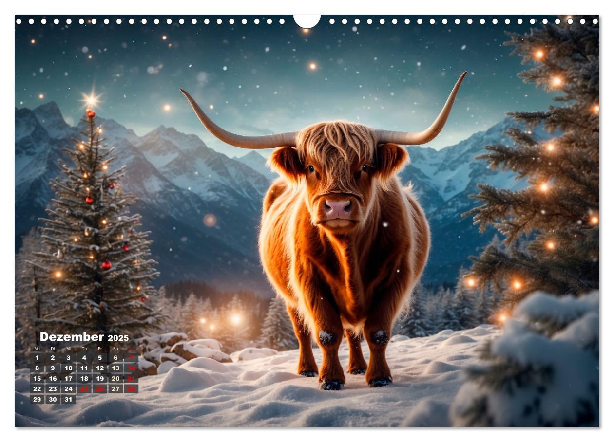 Bild: 9783383840067 | Highland Kühe (Wandkalender 2025 DIN A3 quer), CALVENDO Monatskalender