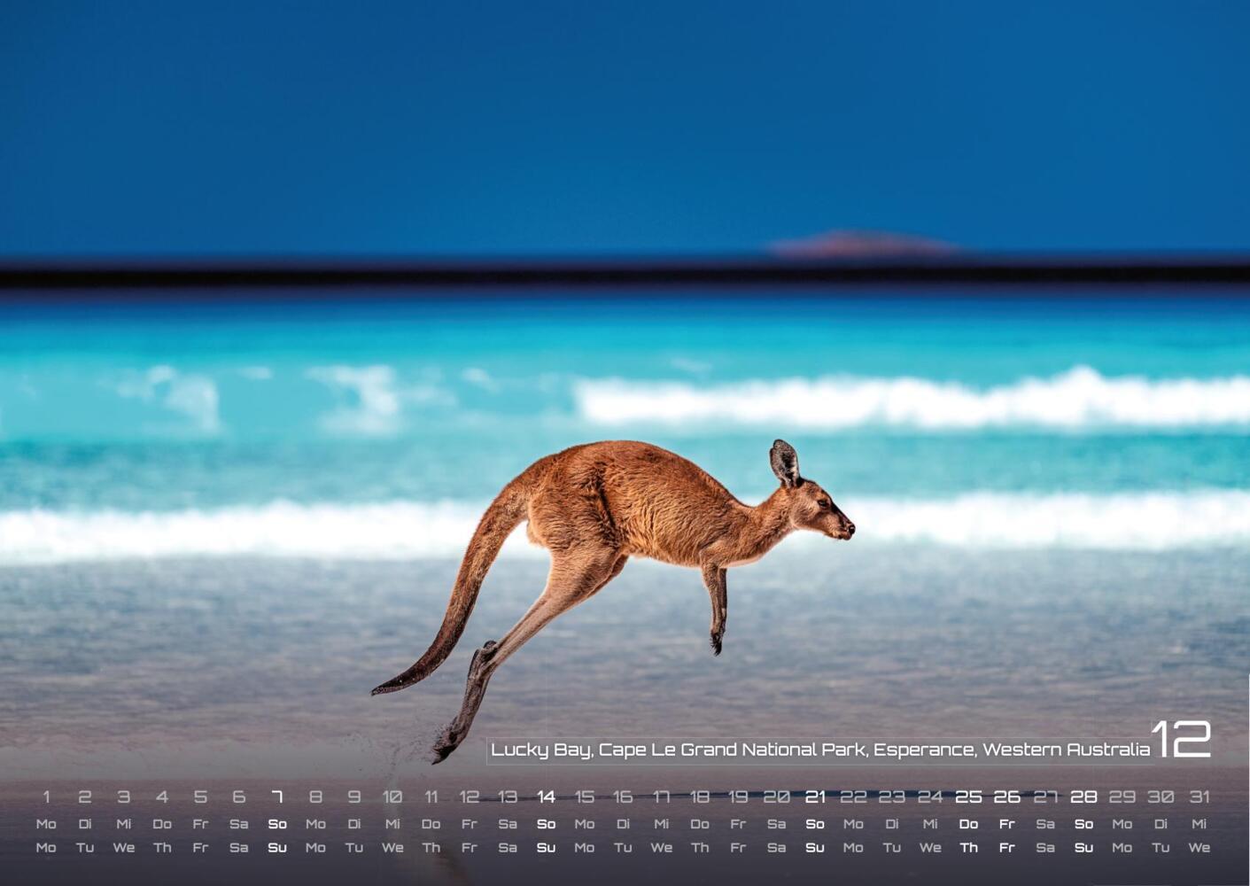 Bild: 9783986733797 | Australien - das Land der Kängurus - 2025 - Kalender DIN A2 | Kalender