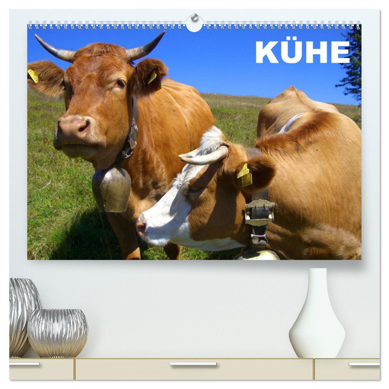 Cover: 9783435713882 | Kühe / Geburtstagskalender (hochwertiger Premium Wandkalender 2025...