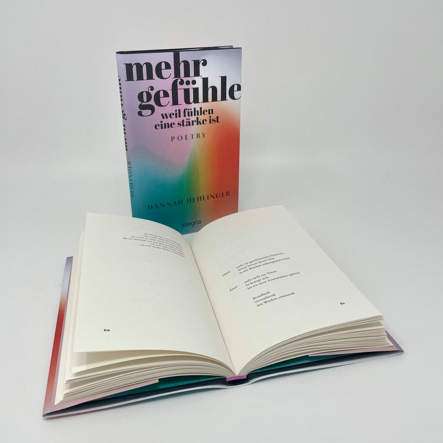 Bild: 9783793424550 | Mehr Gefühle | Hannah Uehlinger | Buch | 128 S. | Deutsch | 2024