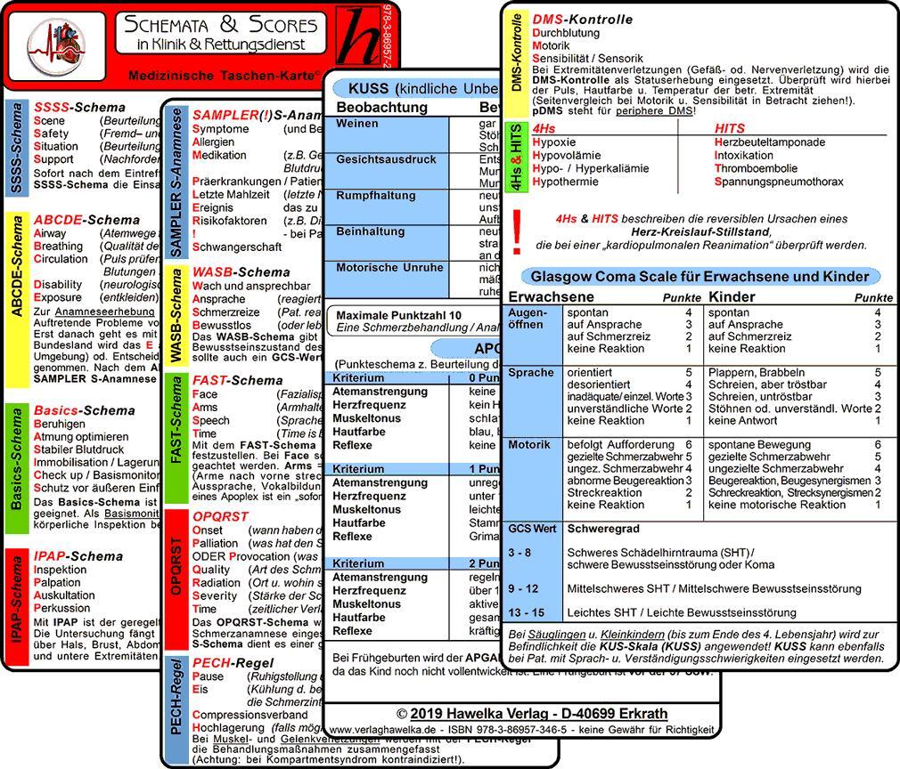 Cover: 9783869573465 | Schemata &amp; Scores in Klinik &amp; Rettungsdienst (2 Karten Set) -...