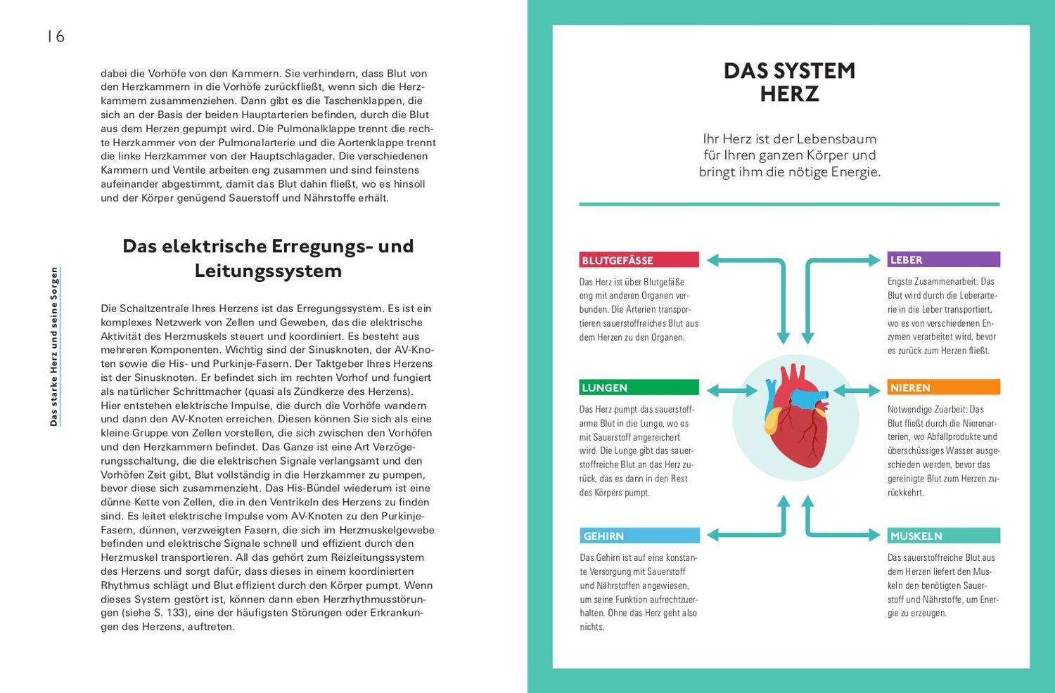 Bild: 9783747106655 | Hallo, starkes Herz! | Gerhard Hindricks | Taschenbuch | 176 S. | 2023