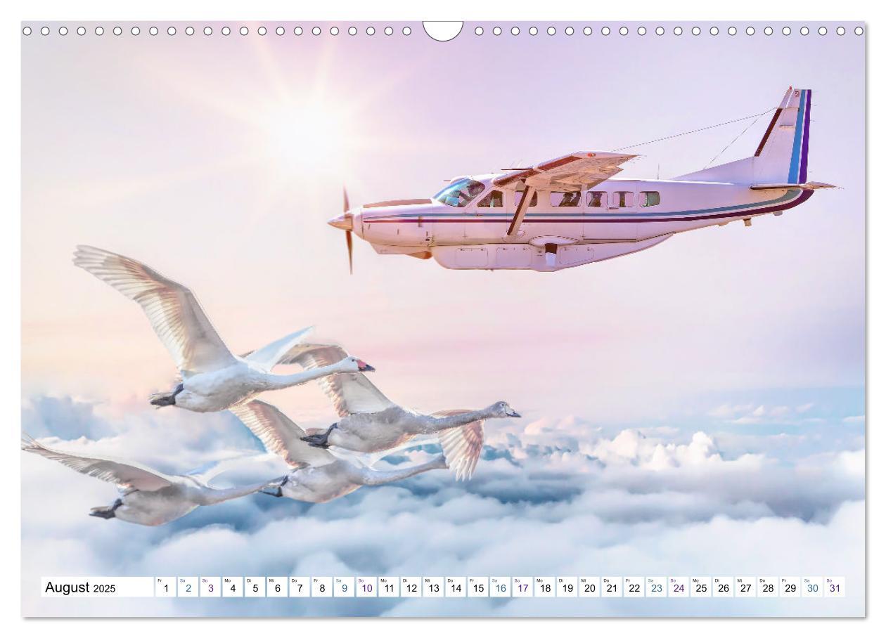 Bild: 9783435095971 | Fliegen, Fliegen - humorvolle Montagen (Wandkalender 2025 DIN A3...