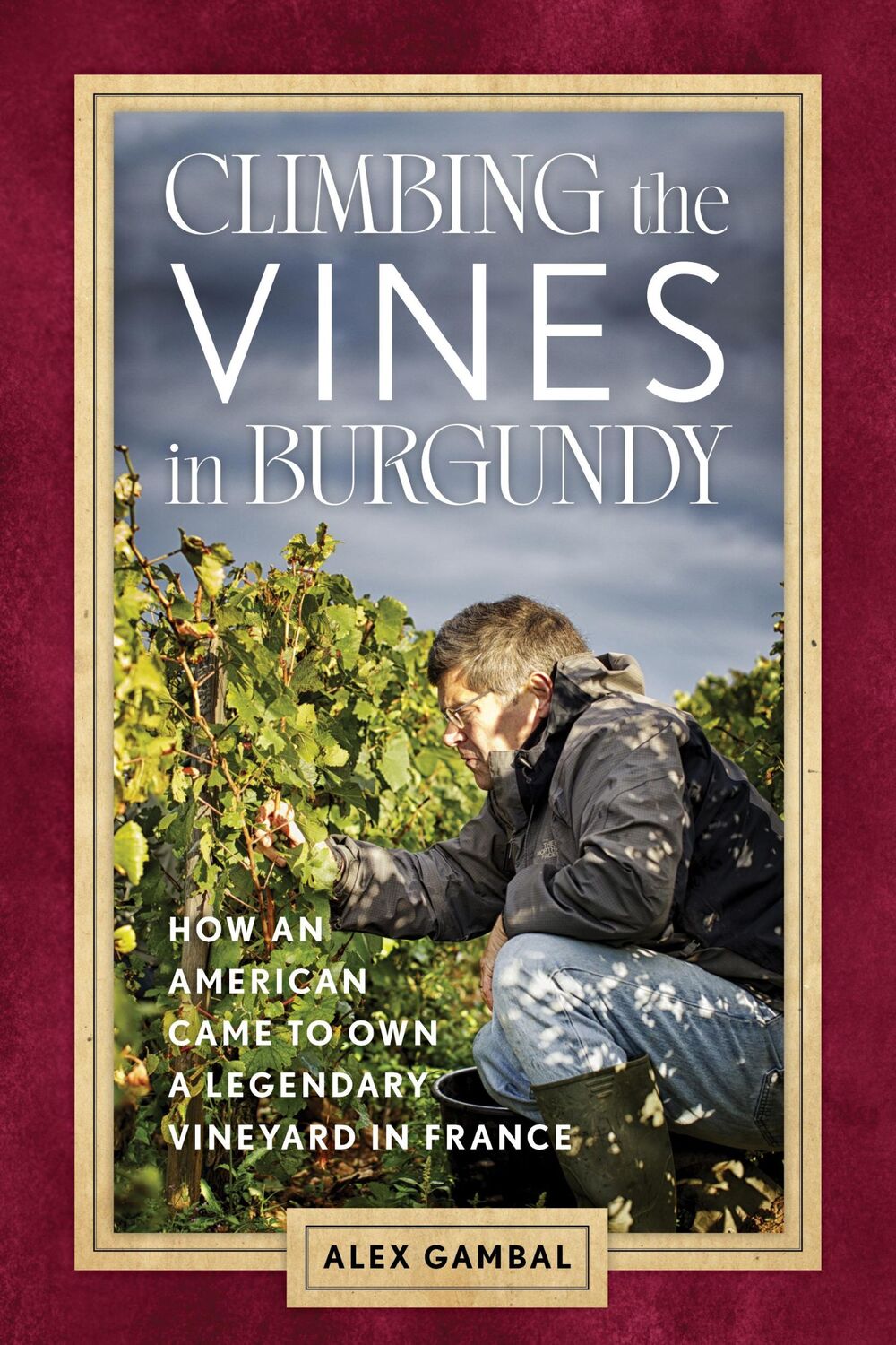 Cover: 9781538196151 | Climbing the Vines in Burgundy | Alex Gambal | Taschenbuch | Englisch